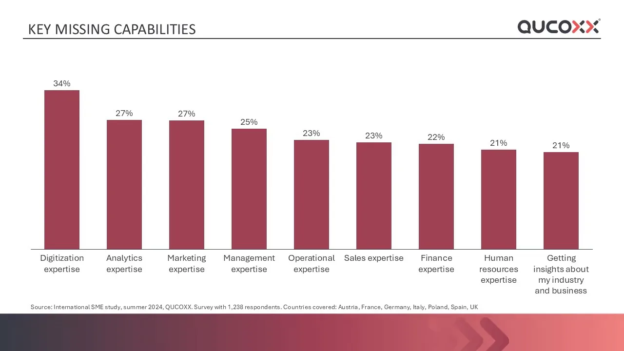 Chart: the capabilities SMEs say they are missing